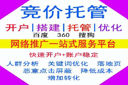 行业标杆：SEM托管公司案例解析